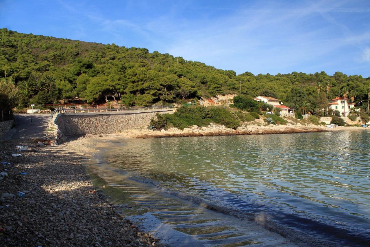 Apartments By The Sea Milna, Vis - 8913 Eksteriør bilde