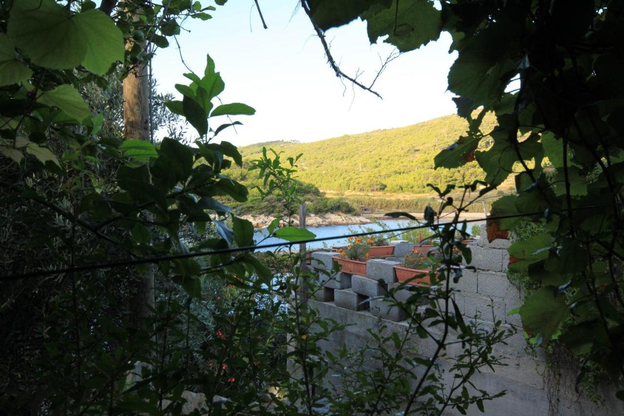 Apartments By The Sea Milna, Vis - 8913 Eksteriør bilde